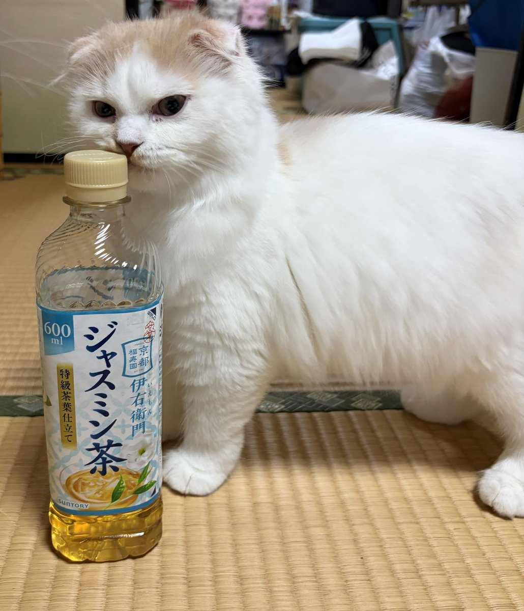 TAKAHO tweet media