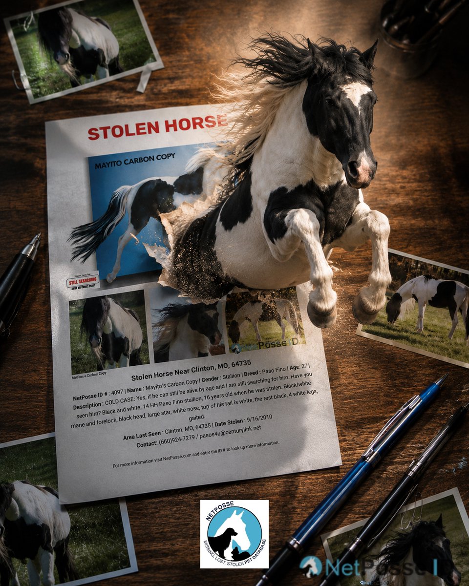 netposse's tweet photo. Why Printing NetPosse Flyers Helps Find Horses https://t.co/PHrUeXQKC0 https://t.co/Pd28lmZcAl