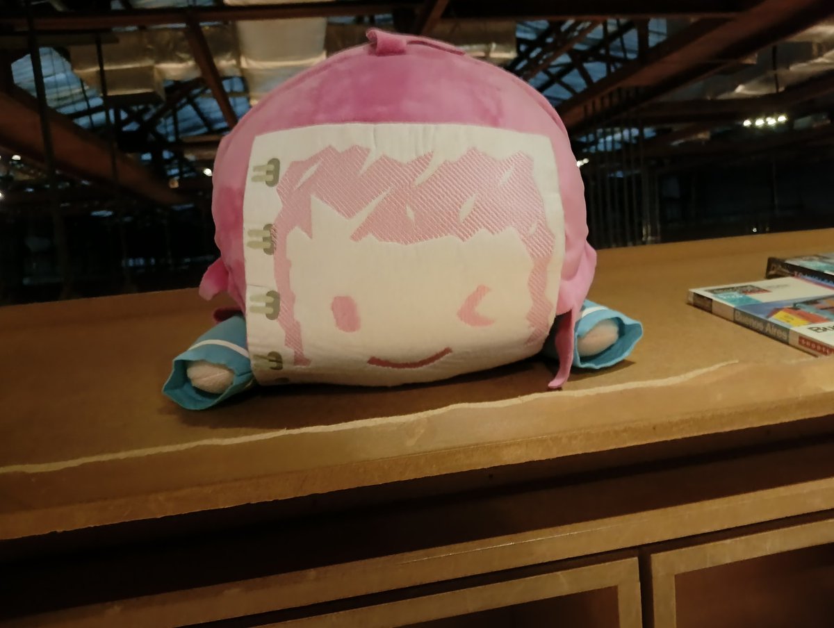PoIrcase's tweet photo. went out took some pic of rina https://t.co/WzSVyoDpUS