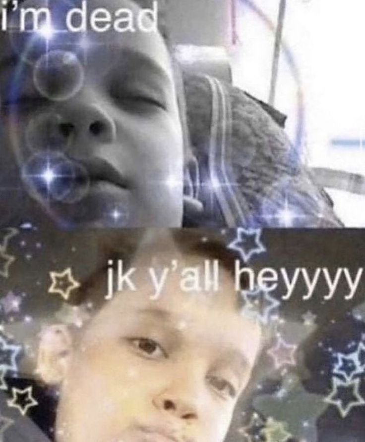 dave mustaine of shedtwt and yumetwt tweet media