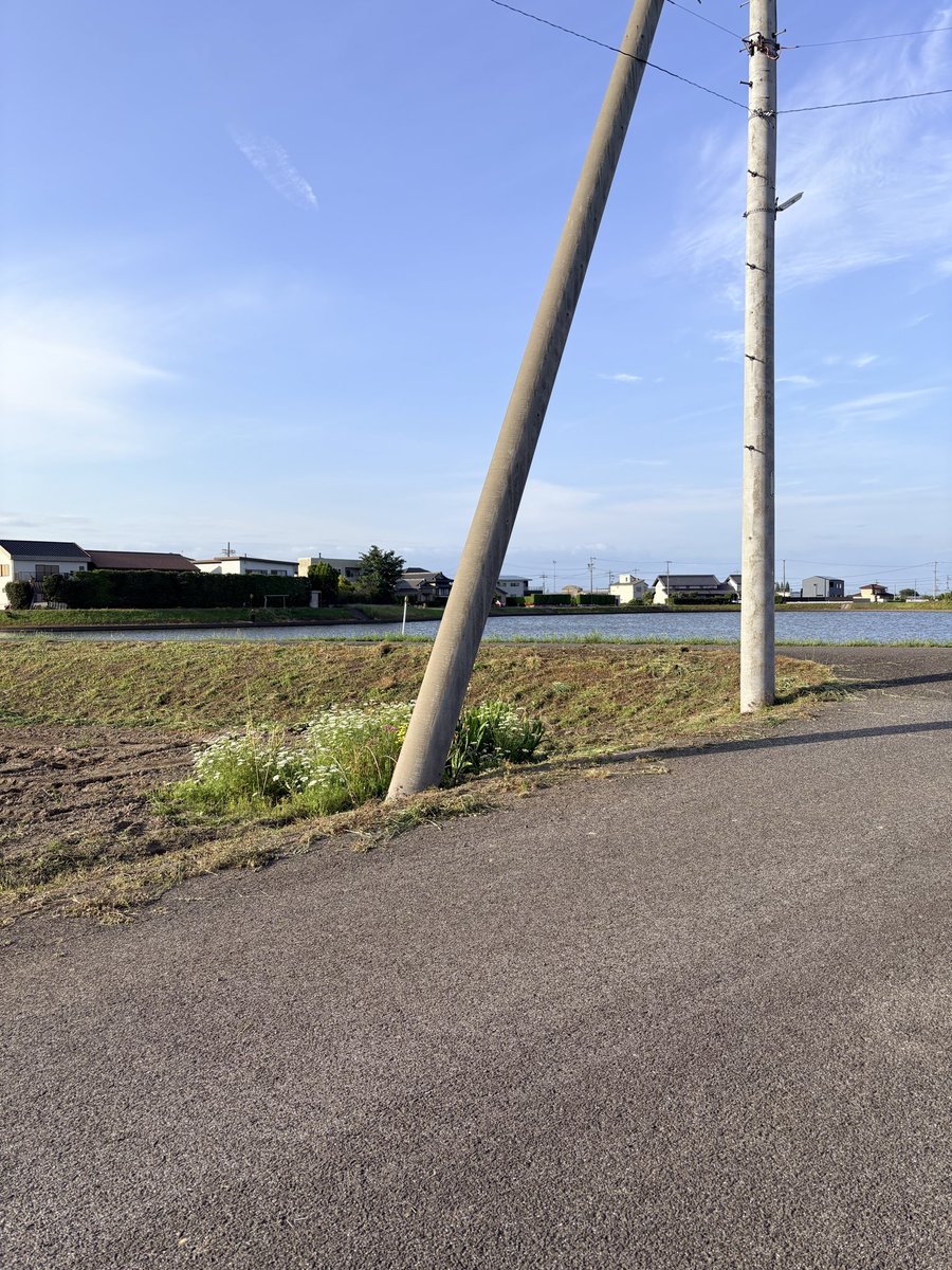 sonzai27 tweet picture
