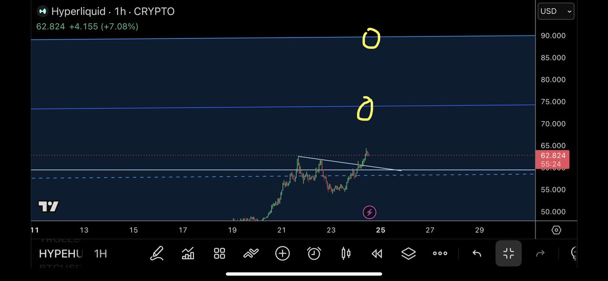 @trader1sz ayaa tweet muhiim ah ka qoray $HYPE