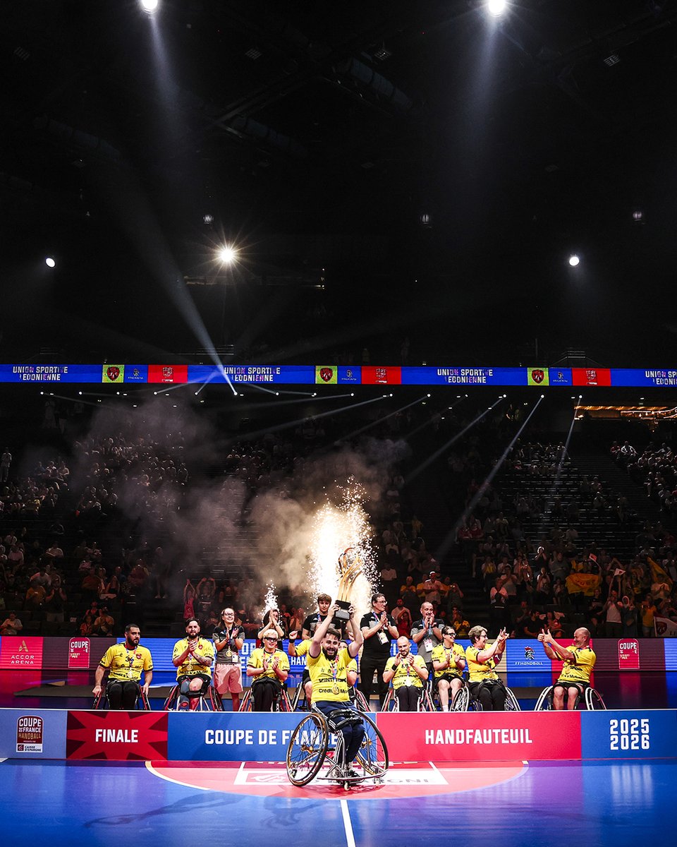 FFHandball tweet media