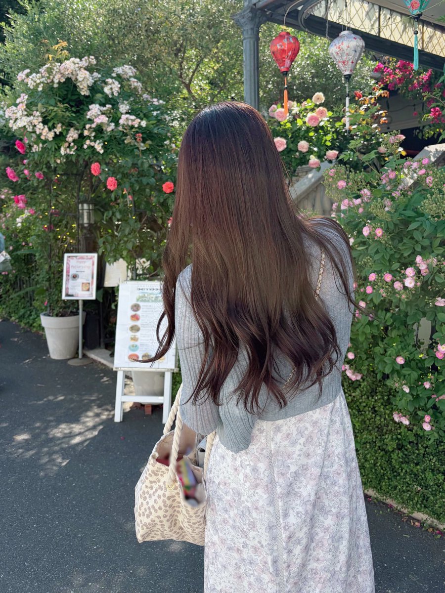 _pinonkm_'s tweet photo. 気になってた表参道バンブーのランチ🦐♡
#herlipto https://t.co/4dYrpPBw4S