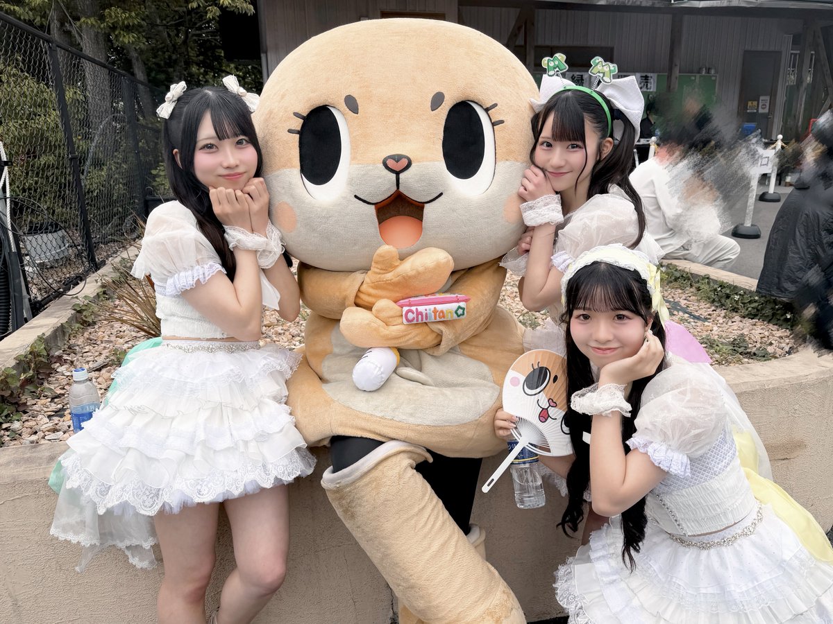 EcruRare【えくれあ】 tweet media
