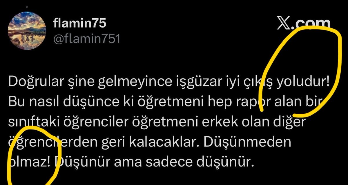 S. tweet media