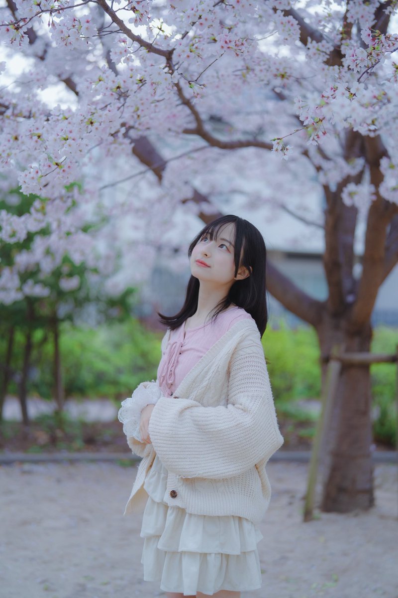 aophotojp's tweet photo. みみこ
@nemutainneru 
📍善福寺川 https://t.co/jWuf4S6gco
