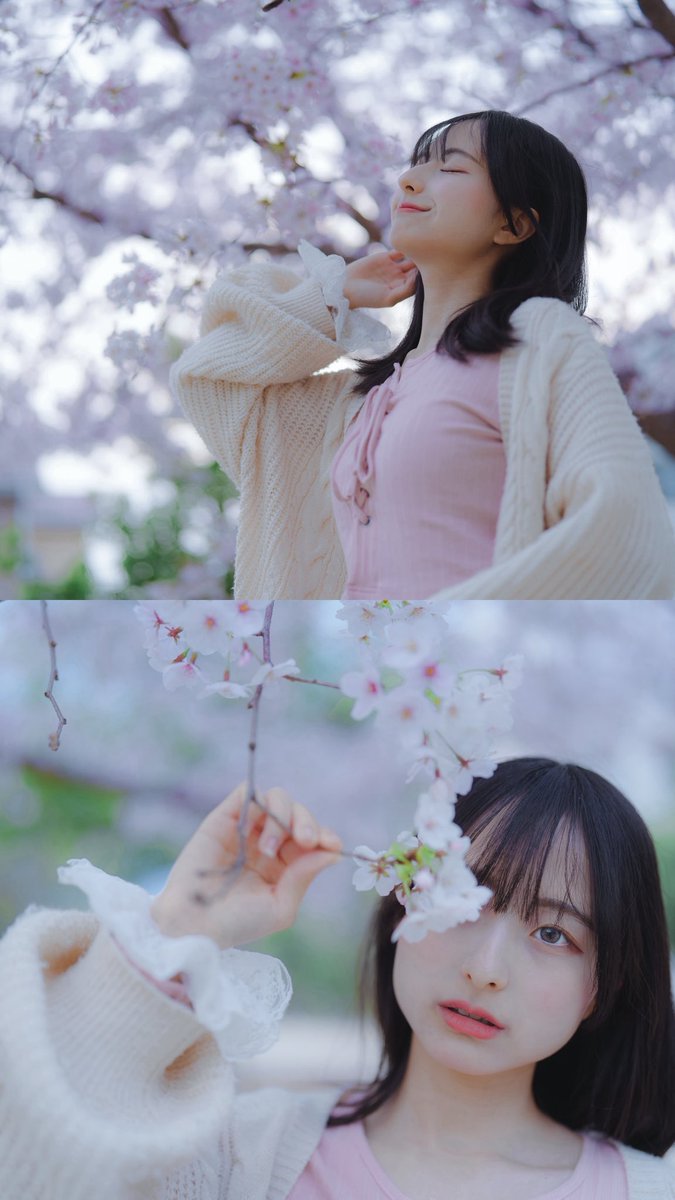 aophotojp's tweet photo. みみこ
@nemutainneru 
📍善福寺川 https://t.co/jWuf4S6gco