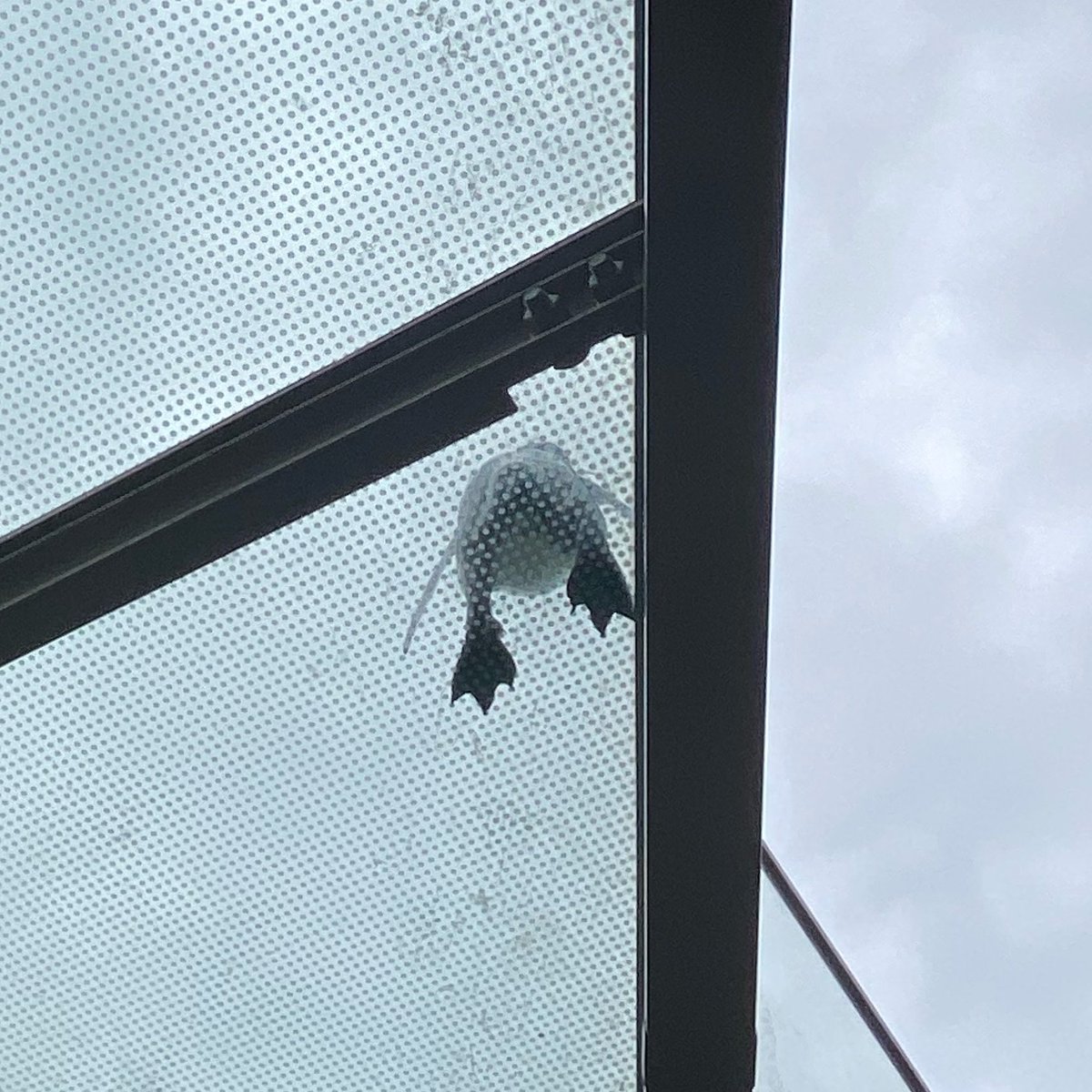 yu0318yu's tweet photo. 水族館、水の雰囲気が好き https://t.co/qQldZdyuK9