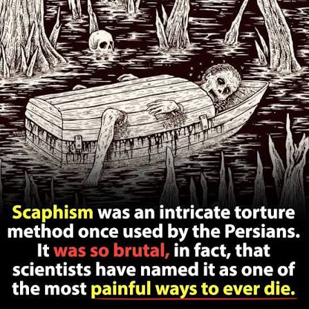 SanguisFerox tweet media