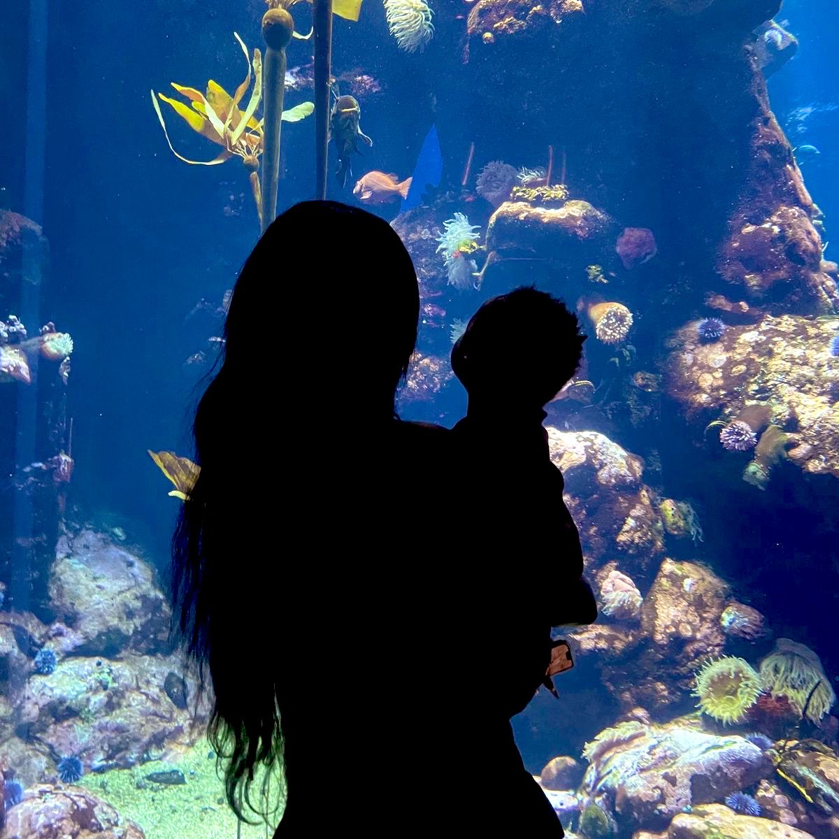 bhamakarsa's tweet photo. ㅤ

📍Jakarta Aquarium

Simulasi keluarga kecil yang bahagia. 

ㅤ https://t.co/NU0t9sASBR