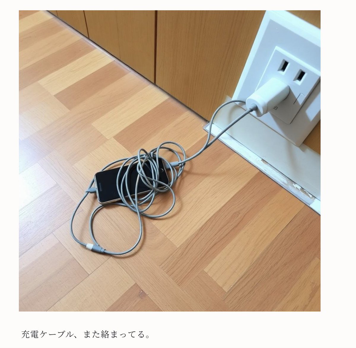 umeutt's tweet photo. 「冷静小島」は、こんな感じで"映えない日常"を共有し合うSNSです。打倒、情熱大陸！ https://t.co/z3MDbfdntF