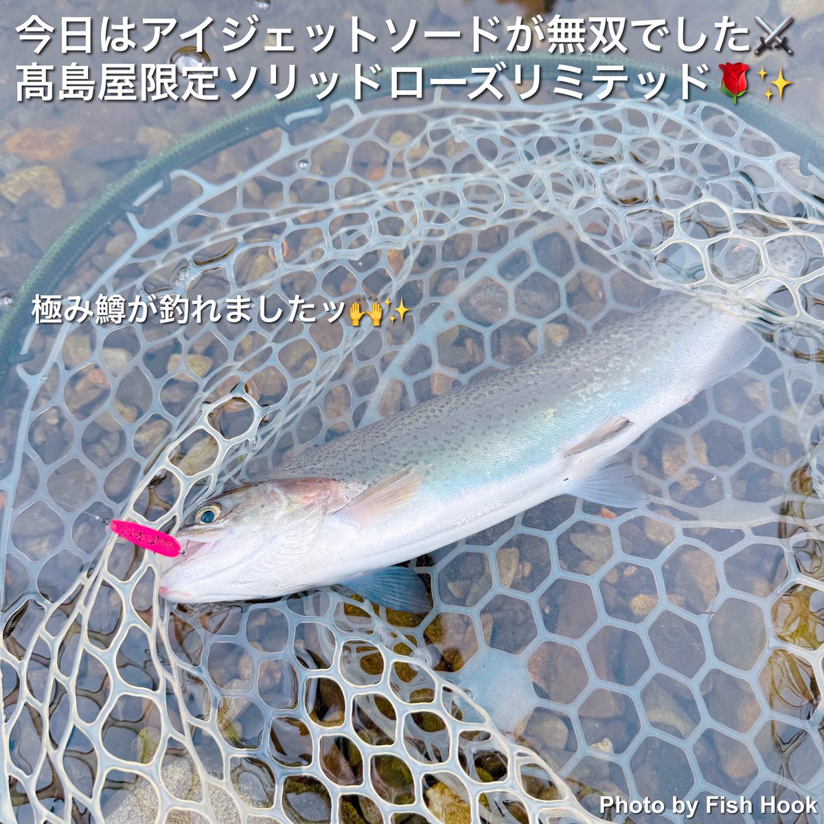 Fish Hook / Fishing & Outdoor Gear tweet media