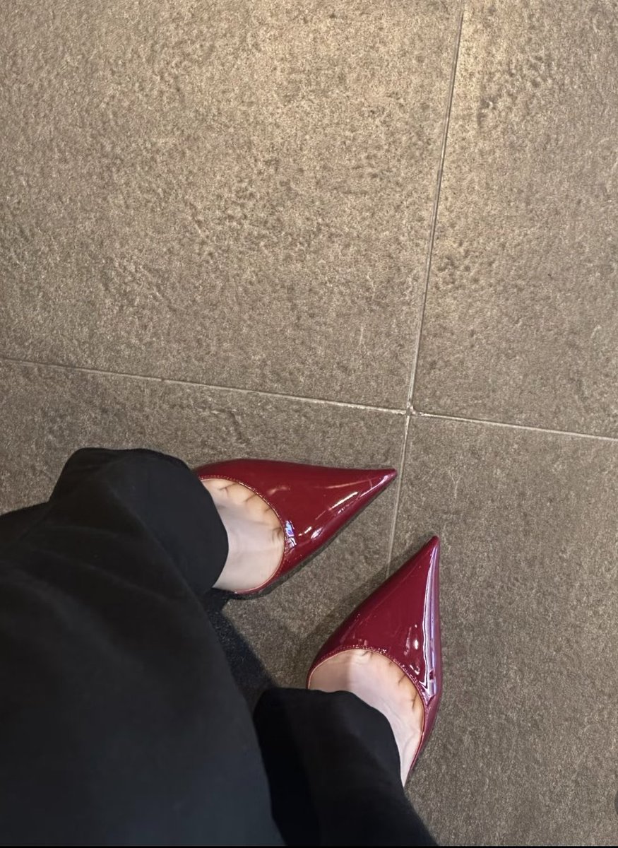 一只猫女士 tweet media