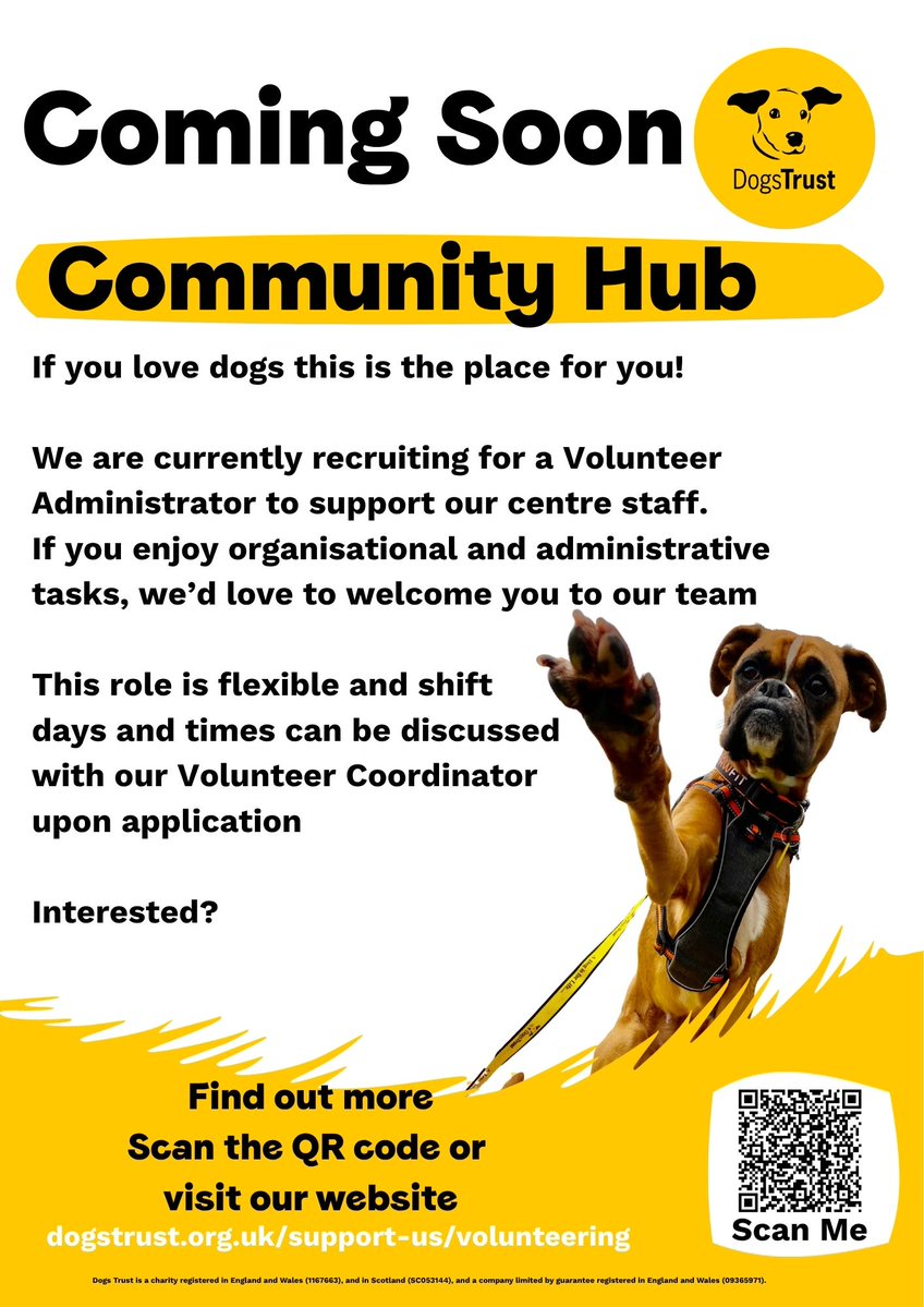 Dogs Trust Cumbria 🐶 tweet media