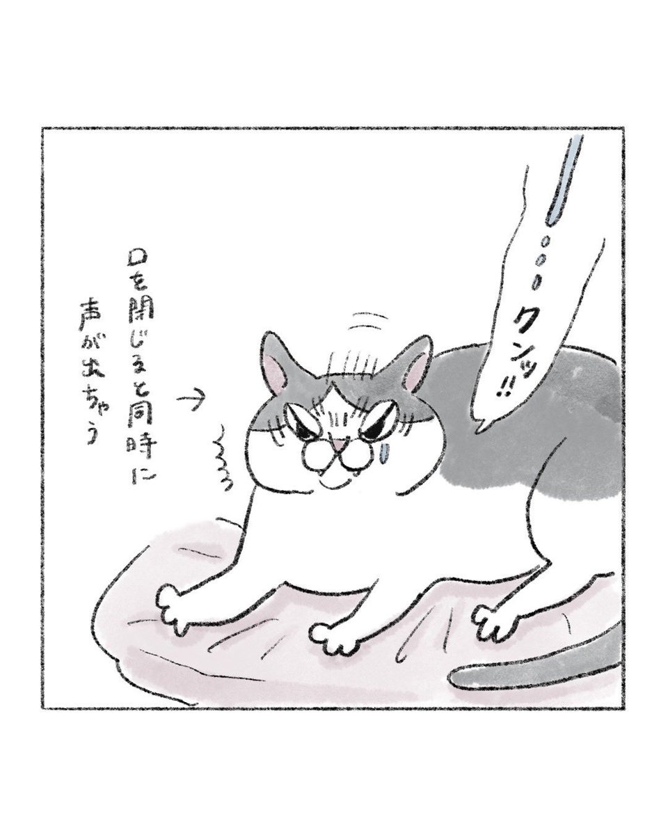 __uminonaka_'s tweet photo. つづき https://t.co/f06YAbvtxQ