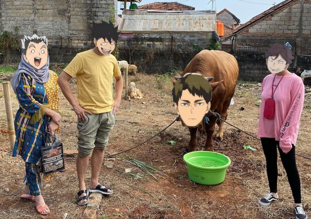 ANIME FESS tweet media