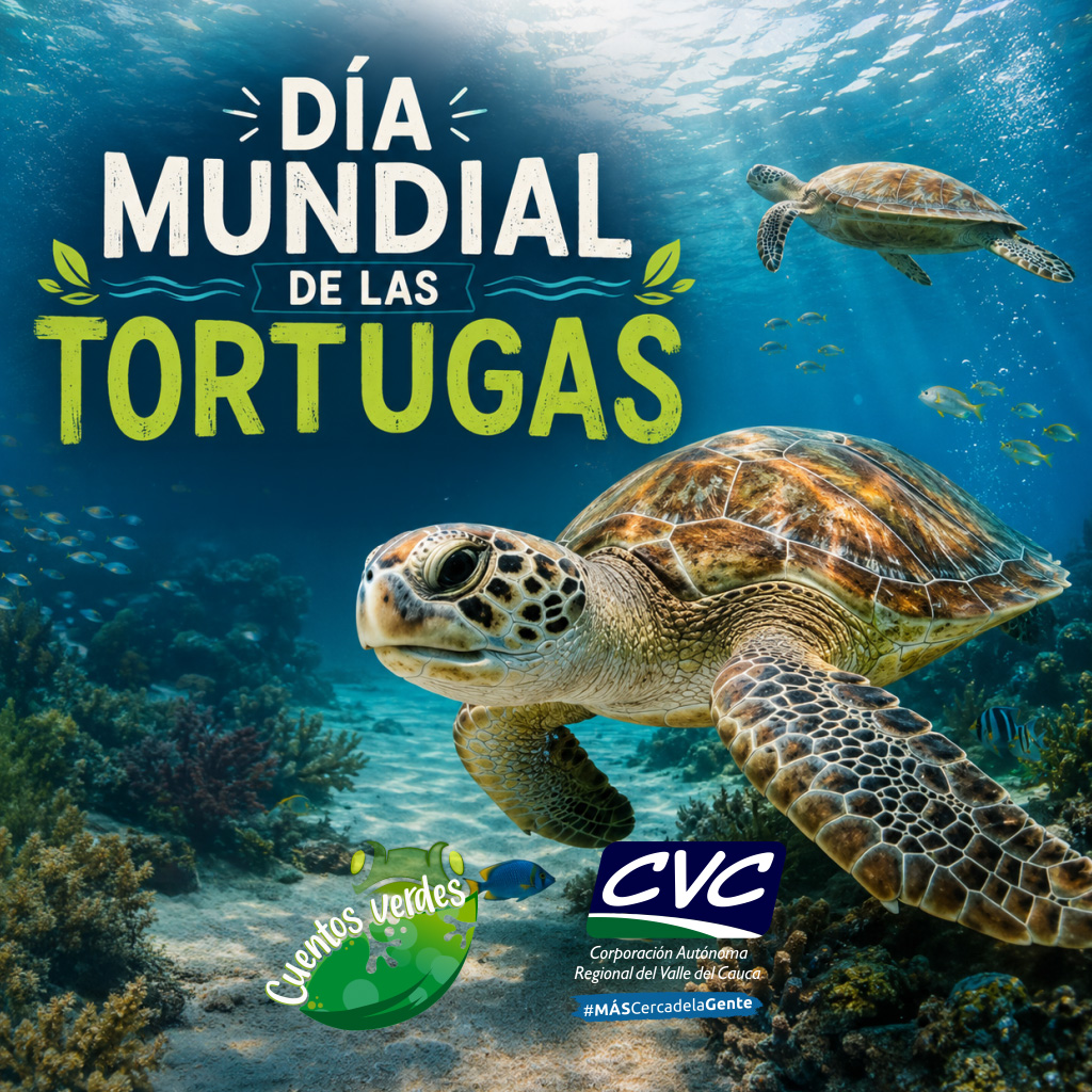 Cuentos Verdes tweet media