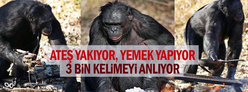 Yaşatır🐍 tweet media