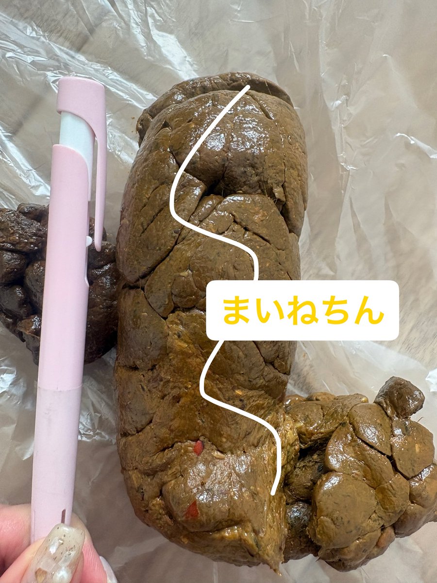 GFrier69717's tweet photo. 本日の💩💗
久々の極太極重一本💩!!
私の腸、まだまだ現役だったみたい🥰

18歳未満閲覧禁止⚠️ https://t.co/FvLeIVqsCy