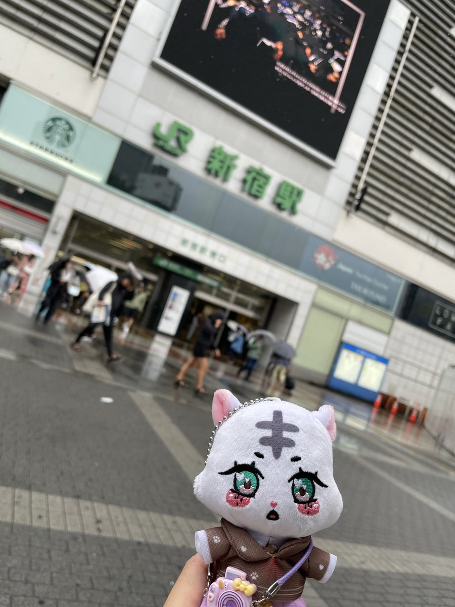 Saya_rx's tweet photo. 一目惚れして買ったサンダル
寒くて履き慣らさず東京行って、知らぬ間に人生初の足の甲に靴擦れ🥹
今更とても痛いの…
でも楽しかったから良いの🥹
 #Kep1er https://t.co/AM5jamsWkm