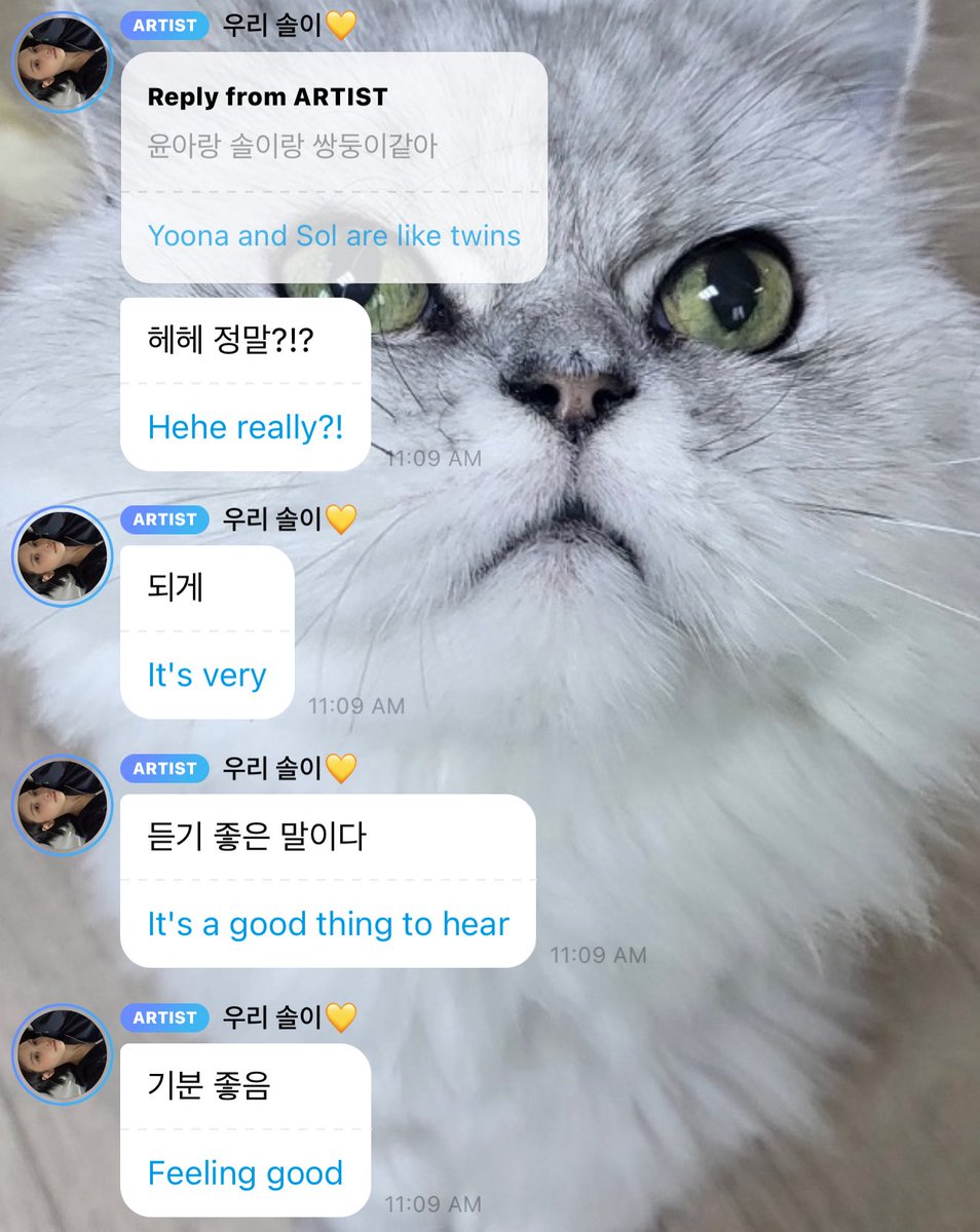 myles 🎷🐛 | HAPPY KYUJIN YEJI DAY 🐈‍⬛🐈 tweet media