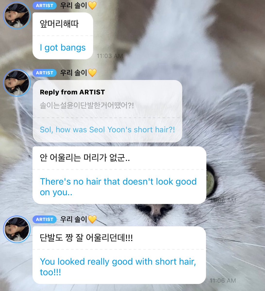 myles 🎷🐛 | HAPPY KYUJIN YEJI DAY 🐈‍⬛🐈 tweet media