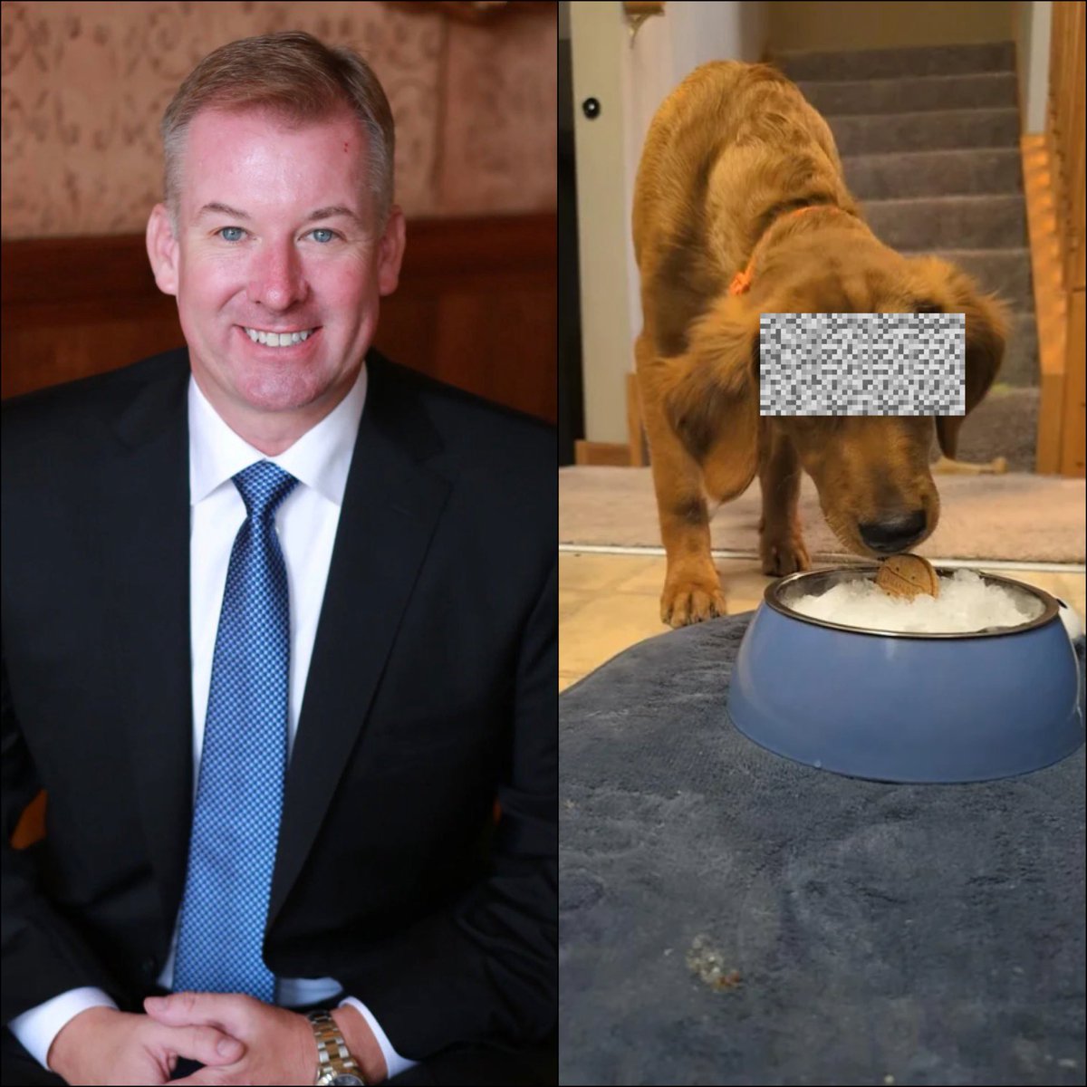HittmanHak45504's tweet photo. @SeeRacists Bestiality is the identity and culture globally of the sick nasty white community worldwide now watch these filthy pigs defend this nasty behavior 🐕👱‍♂️👱‍♀️🐕👱‍♂️👱‍♀️🐕👱‍♂️👱‍♀️🐕 https://t.co/a1EhtjDQSG