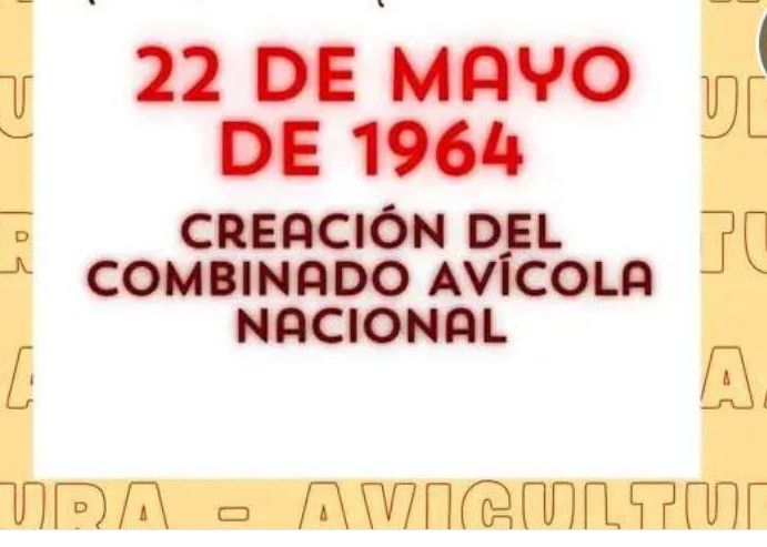MinagCuba's tweet photo. Muchas felicidades para todos los trabajadores de la avicultura Cubana.
#CubaEstáFirme
#CubaVencerá #AgriculturaCubana 
 @MinagCuba https://t.co/6qAjBHIDpC