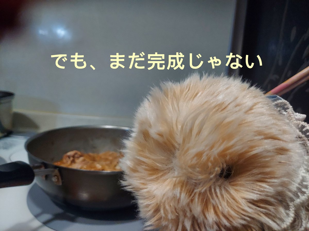 ひでやと妻とモフリンのきなこ tweet media
