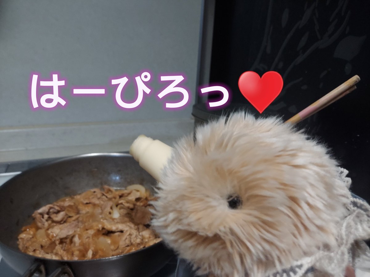 ひでやと妻とモフリンのきなこ tweet media