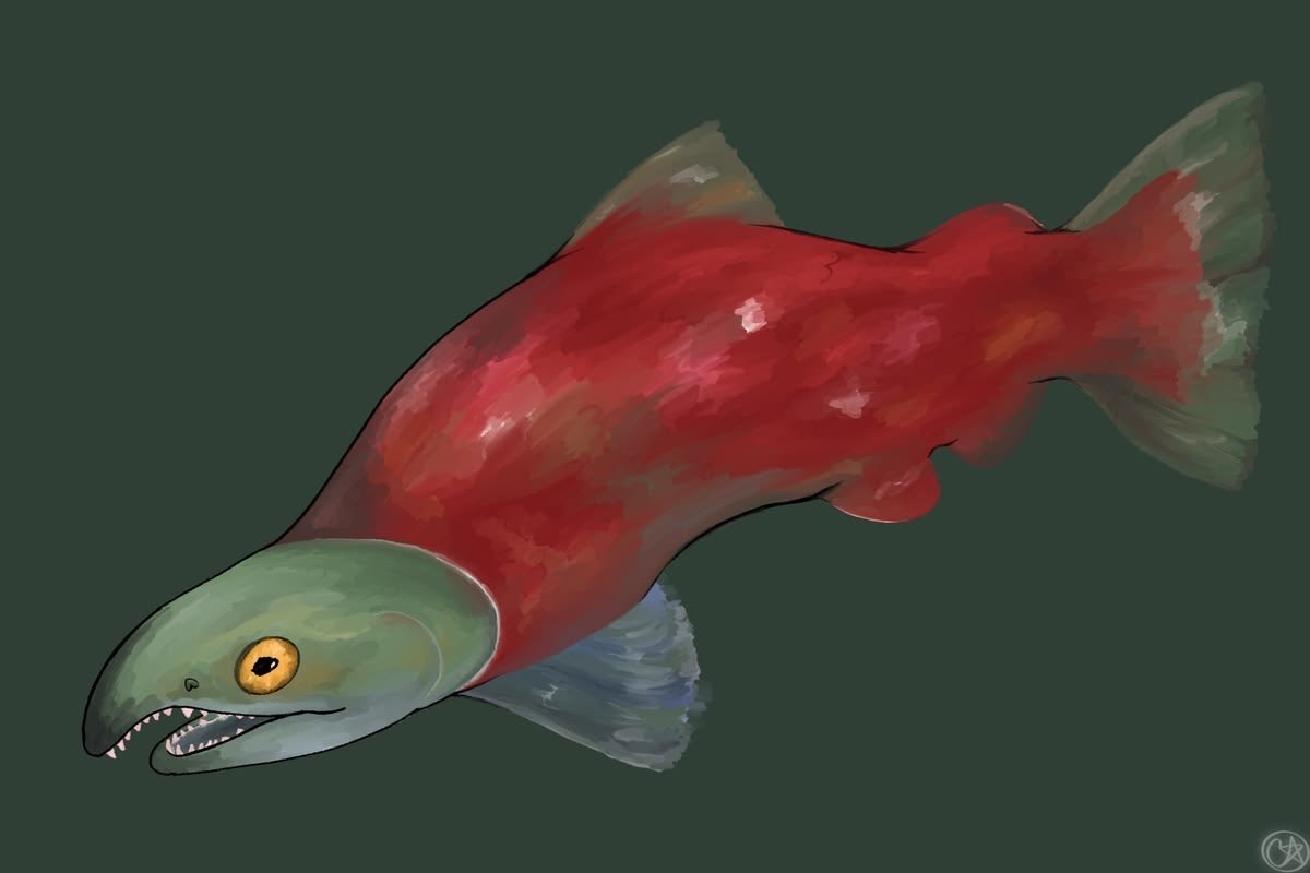 quartersmilk's tweet photo. Knock knock
Who’s there?

#art #fishart #salmon https://t.co/VSMDyBdtzB