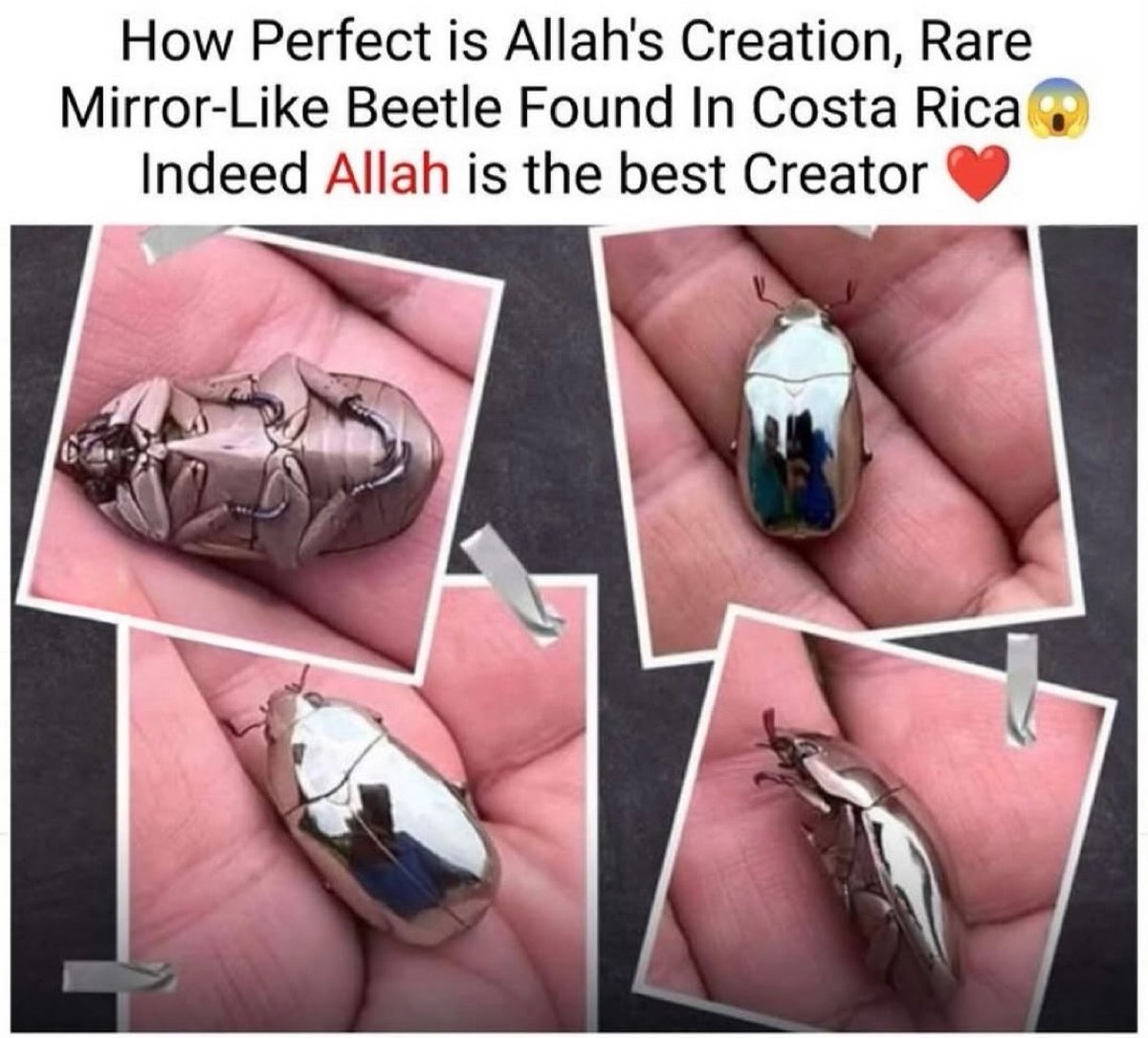 Allah Islam Quran tweet media