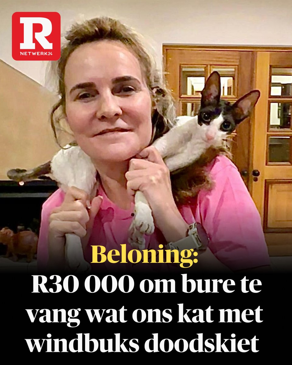 Rapport tweet media