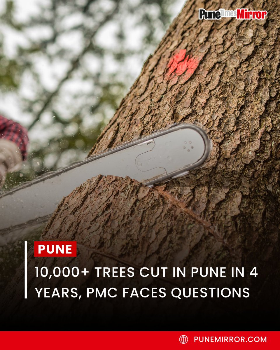 ThePuneMirror's tweet photo. More than 10,389 trees have reportedly been cut in Pune over the last four years for various development projects, raising fresh concerns about the city's shrinking green cover.

According to information cited by corporator Devendra Wadke, while thousands of trees were removed, there is little clarity on the survival and monitoring of the compensatory plantations that were supposed to replace them. The issue has sparked questions about whether enough is being done to protect Pune's environment while pursuing urban development.

The debate has once again brought attention to the balance between infrastructure growth and preserving the city's green identity.

#PuneNews #Environment #TreeCutting #PMC #Punetimesmirror