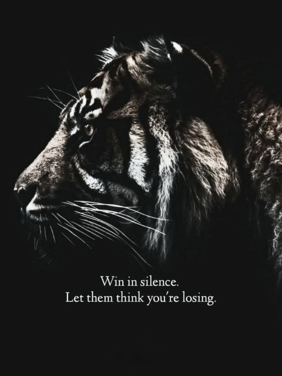 Way Of Discipline tweet media