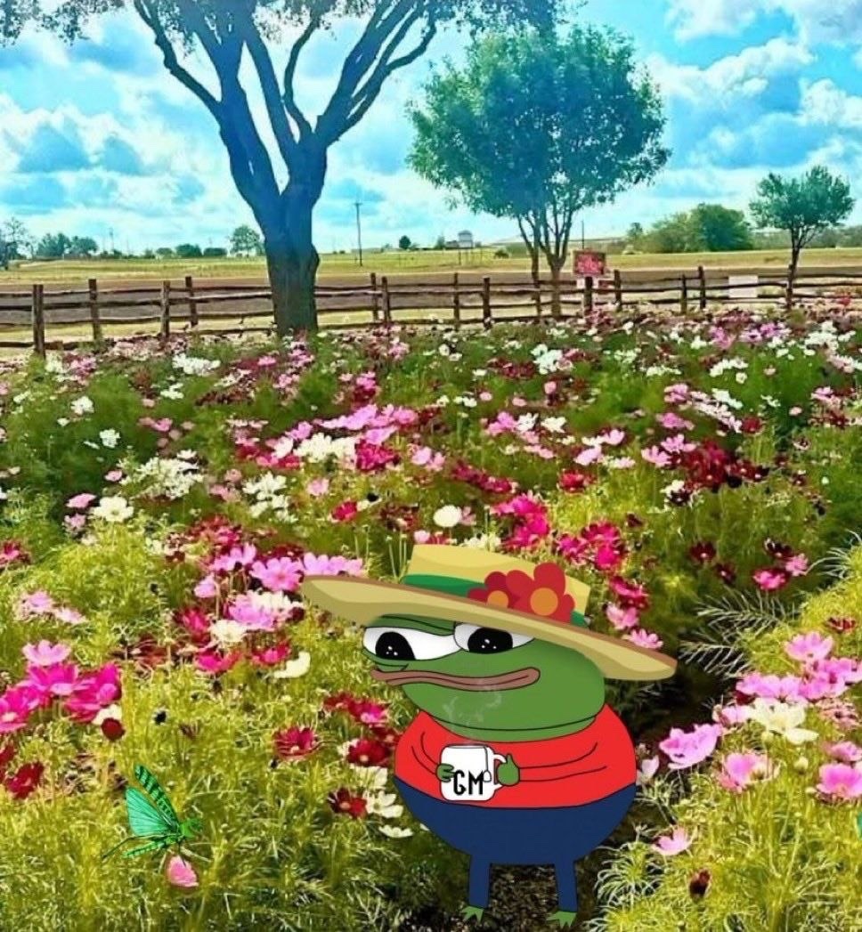 Apu Apustaja tweet media
