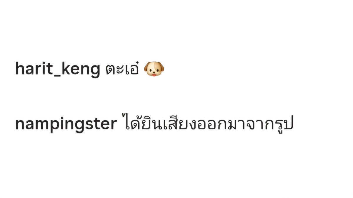 นี๋ร์ Ní tweet media