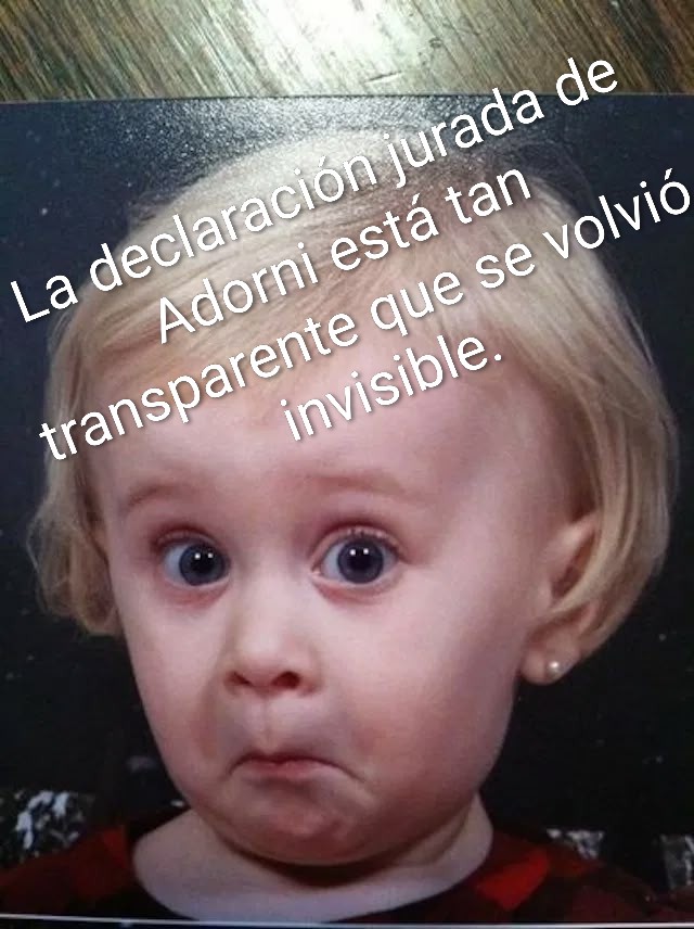 🐱Variaciones del olvido🐱 tweet media