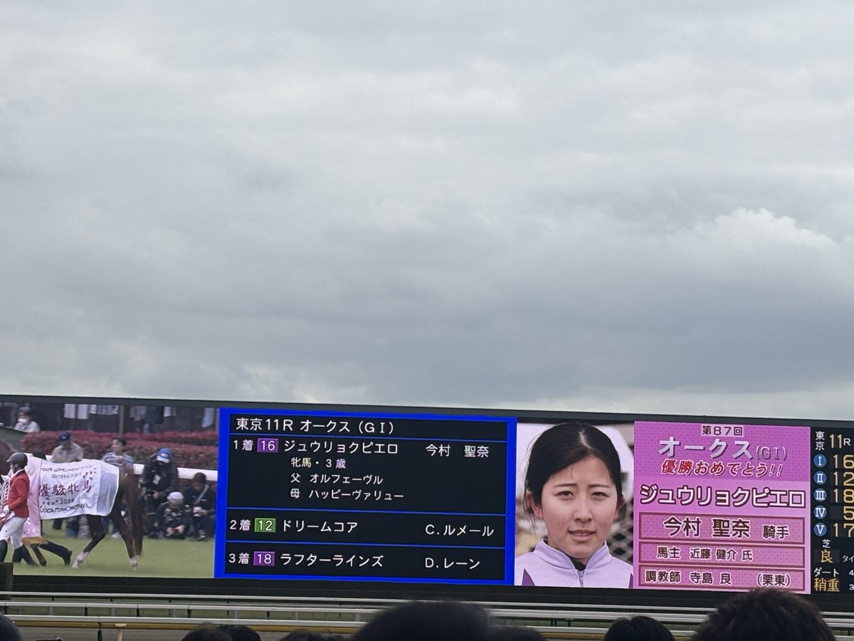 藤本麻依 tweet media