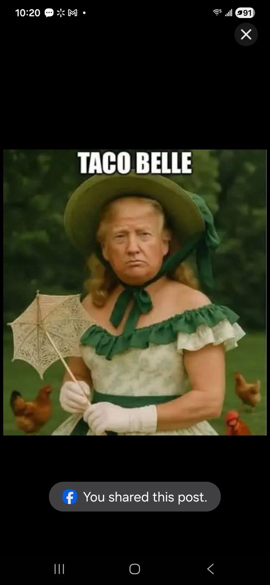 Jamuniz58M's tweet photo. @andrewPate12676 @MrImranPk Just remember you have a president that repeats everything that's a lie  one day he's going to bomb Iran the next day he changes his mind one day he's going to send them to the stone ages the next day he changes his mind that's what I call a chicken a rape-publican https://t.co/jWJh1ChqXc