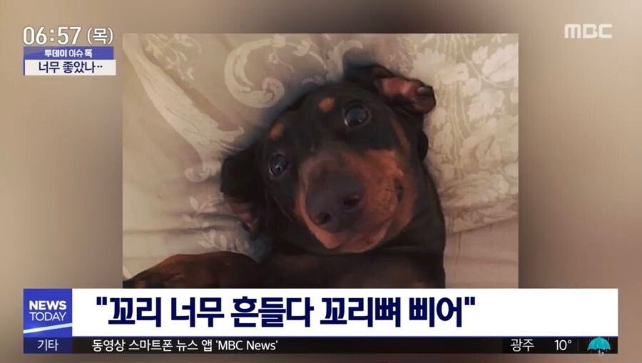 뜌멍이 tweet media