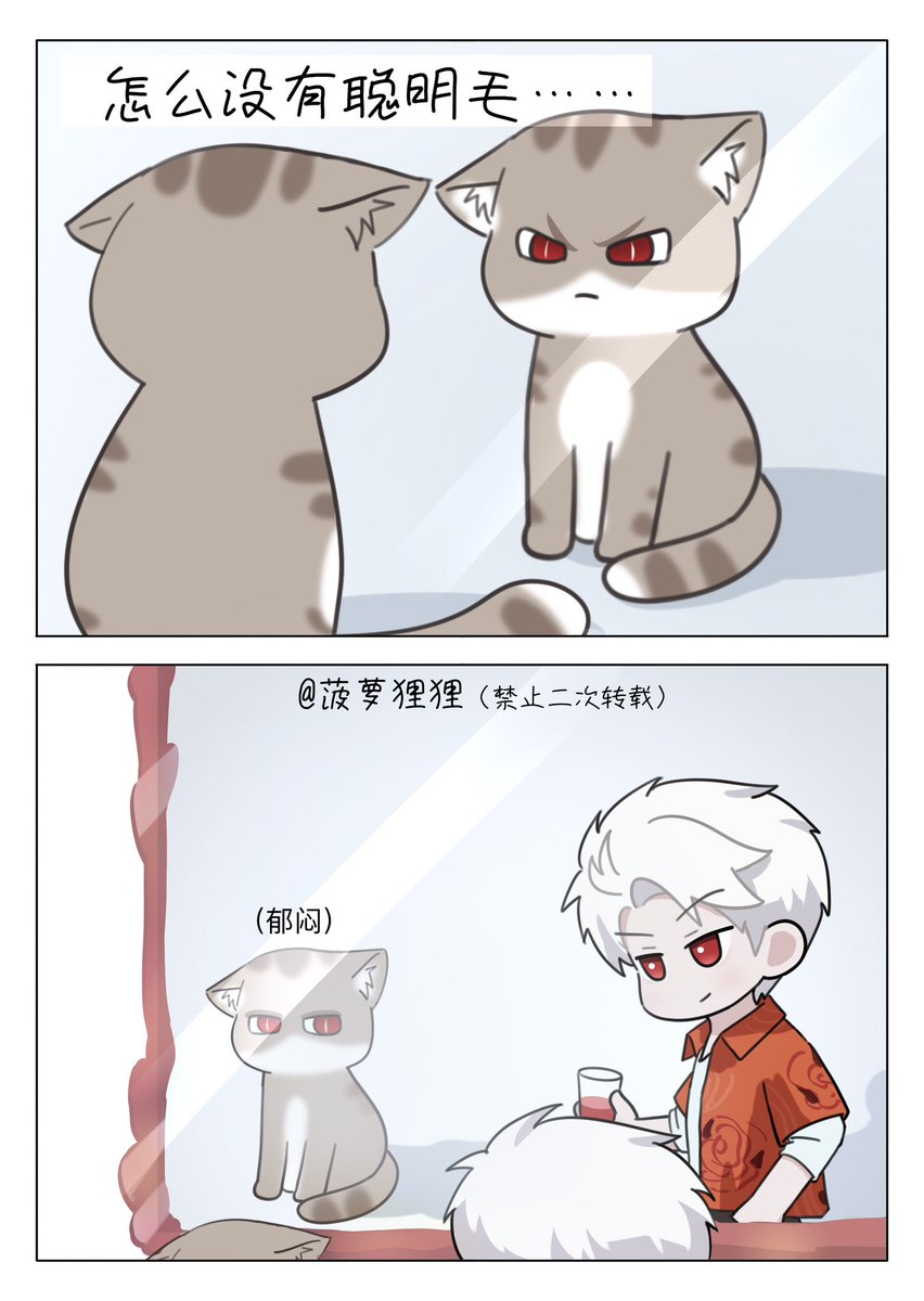 菠萝狸狸🐱 tweet media