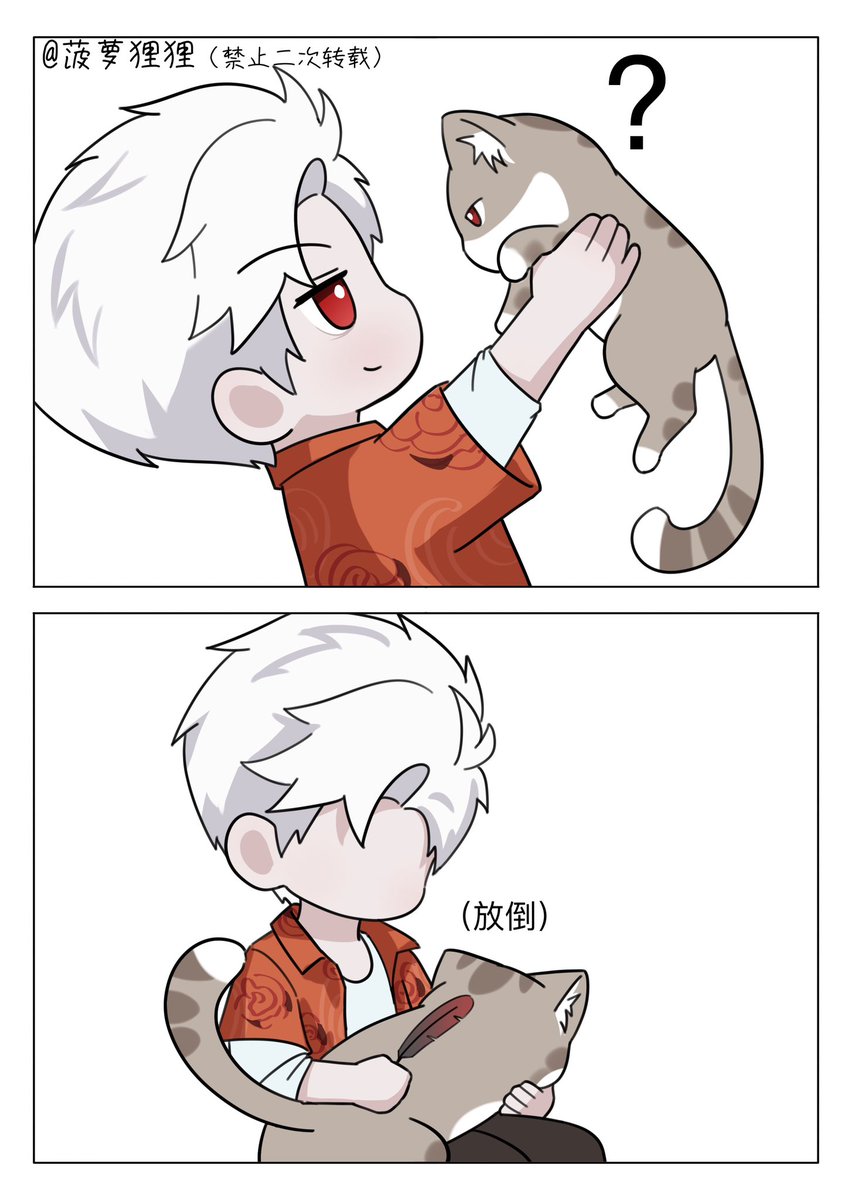 菠萝狸狸🐱 tweet media