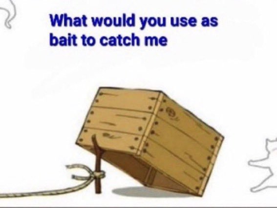 𝙳𝚊𝚒𝚔𝚘𝚔𝚞𝚝𝚎𝚗 tweet media