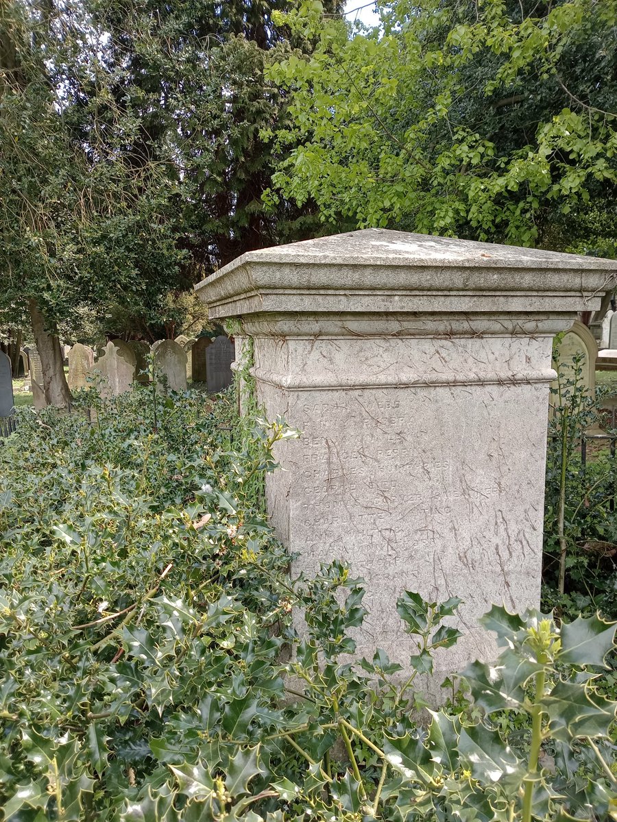 phil0073's tweet photo. The reburials site from #CheeseLaneChapelWellingborough & #WestEndChapelWellingborough with Betha's #MonkeyPuzzle at #LondonRdCemeteryWellingborough recently #MonumentMonday #StoneworkSunday #treepeople #PhilOnaBike https://t.co/UcKXA3kgDj