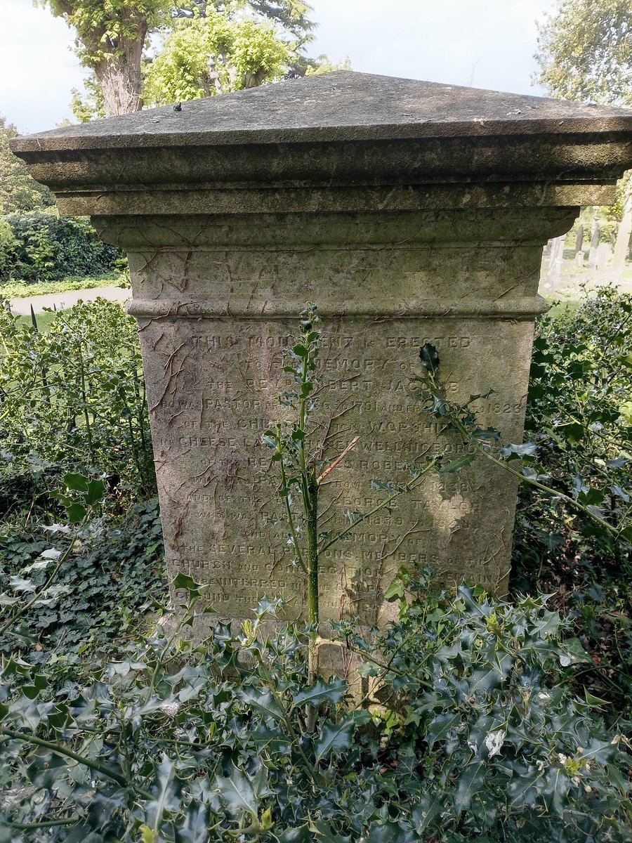 phil0073's tweet photo. The reburials site from #CheeseLaneChapelWellingborough & #WestEndChapelWellingborough with Betha's #MonkeyPuzzle at #LondonRdCemeteryWellingborough recently #MonumentMonday #StoneworkSunday #treepeople #PhilOnaBike https://t.co/UcKXA3kgDj