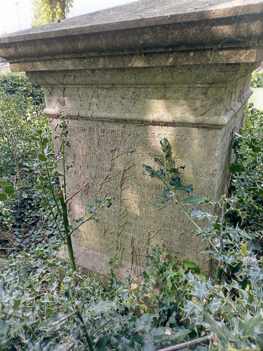 phil0073's tweet photo. The reburials site from #CheeseLaneChapelWellingborough & #WestEndChapelWellingborough with Betha's #MonkeyPuzzle at #LondonRdCemeteryWellingborough recently #MonumentMonday #StoneworkSunday #treepeople #PhilOnaBike https://t.co/UcKXA3kgDj