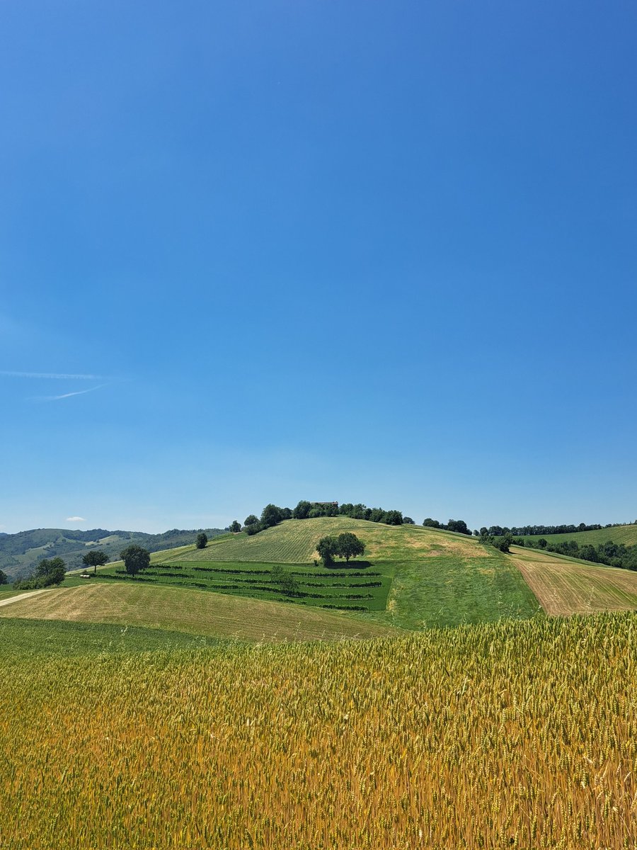 C1-QB8 | cubotta tweet media