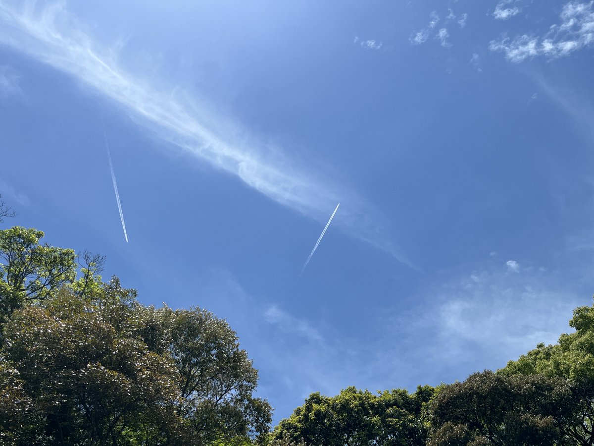 As5iS's tweet photo. 今日も空を見上げてリフレッシュ
飛行機が飛び交う景色も素敵です
今、ここ、愛、信、誠。 https://t.co/6sLXjEqh1K
